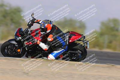 media/Nov-12-2023-SoCal Trackdays (Sun) [[5d1fba4e7d]]/Turn 3 Inside Speed Pans (135pm)/